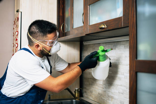 Best Commercial Pest Control Services  in Bayside Gardens, OR
