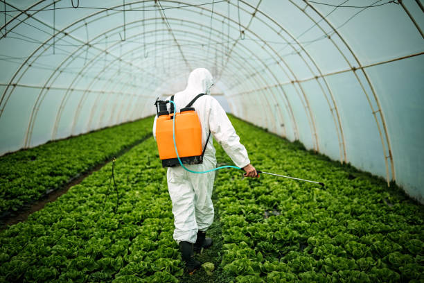 Best Pest Control Near Me  in Bayside Gardens, OR