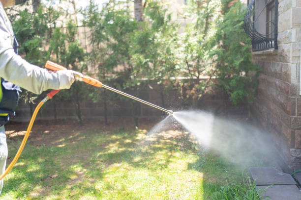 Best Affordable Pest Control Services  in Bayside Gardens, OR