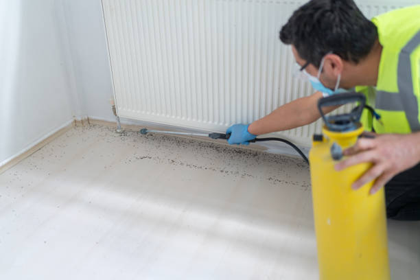 Best Cockroach Control Services  in Bayside Gardens, OR